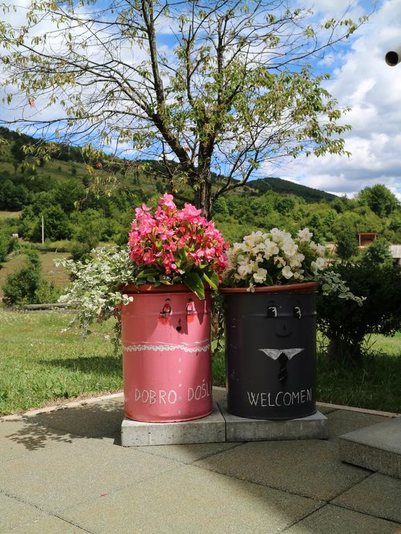 卢卡公寓 Kuterevo 外观 照片