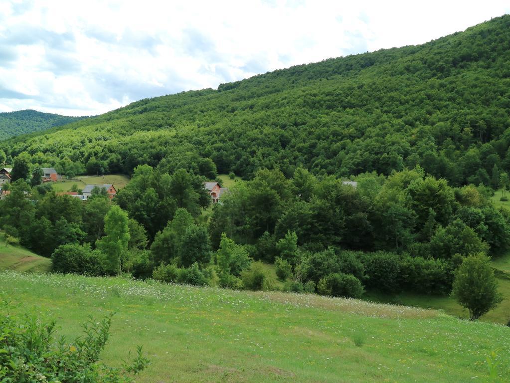 卢卡公寓 Kuterevo 外观 照片